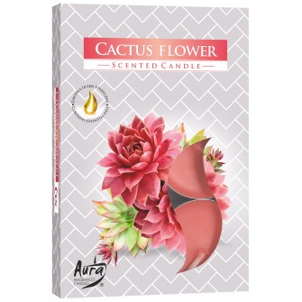 Podgrzewacze zapachowe"Kwiat kaktusa"